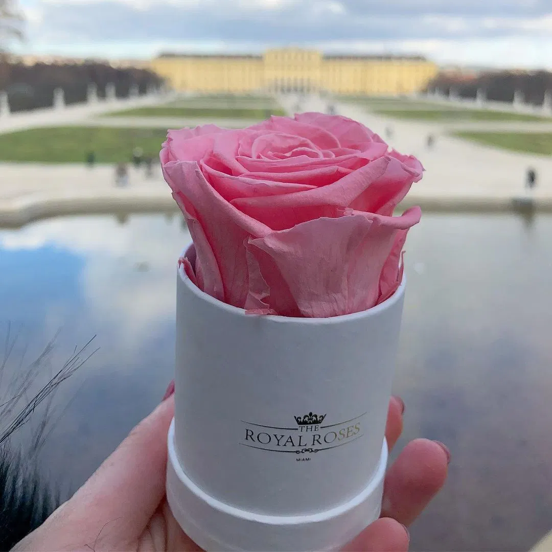 New Custom Packaging Box Round Velvet Flower Boxes for Rose
