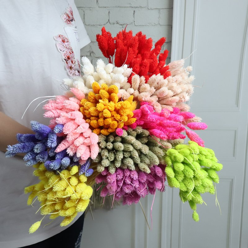 Natural Dried Flower Gemstone Grass Floral Colorful for Photograph Tools DIY Home Decor Dried Pampas Grass Decor Baby Pampas