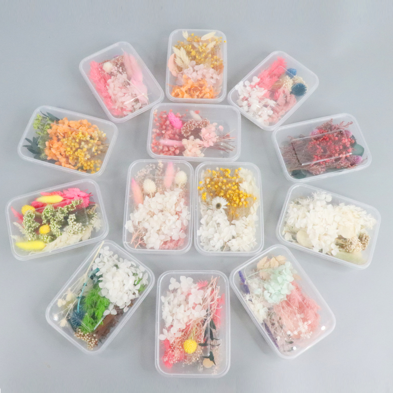 Amazon Best-Selling Mixed Style Preserved Eternal Dried Flower DIY Material Plastic Box with White Hydrangea Dried Lagurus