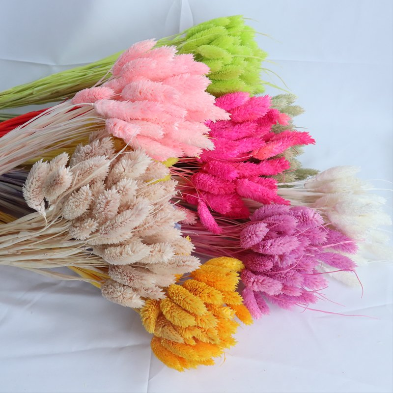 Natural Dried Flower Gemstone Grass Floral Colorful Pure Natural Desk Decoration for Photograph Tools