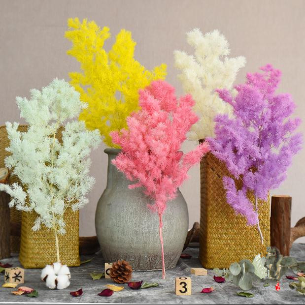 Yunnan Wholesale Real Asparagus Flower Bouquet Dried Flower Myrioeladus Pine Leaves Preserved Flower Arrangements