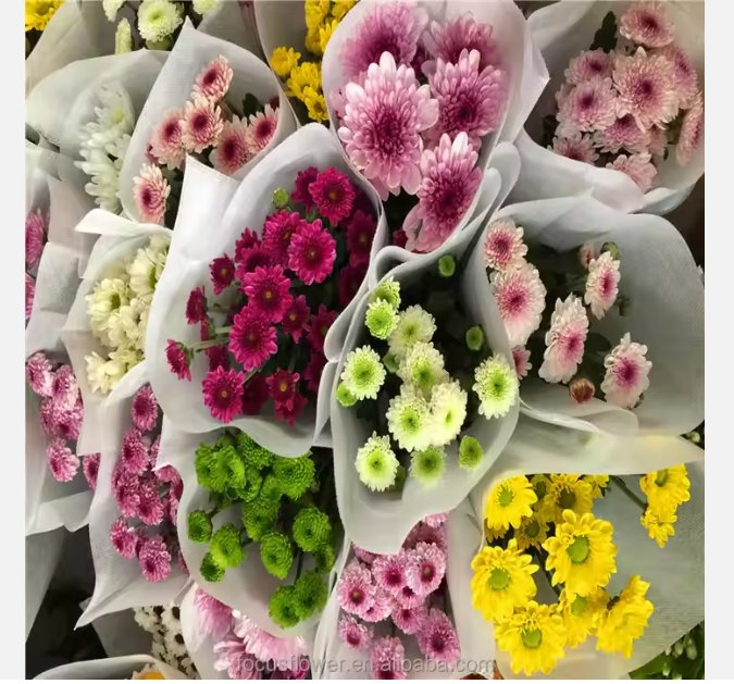 Flowers Natural Fresh Dried Flower Bouquets Gift for Wedding Decoration Home Decor