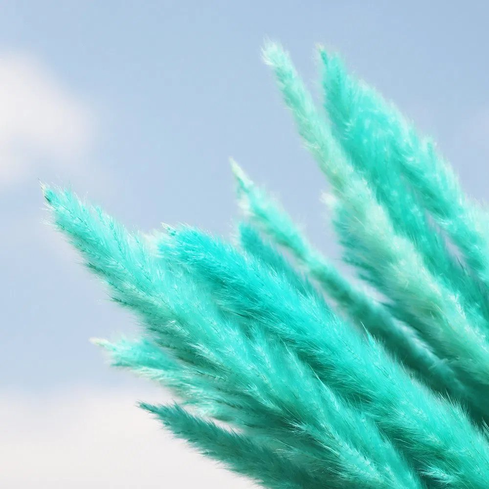 in-Stock Hot Sell Dried Flower Kirin Grass Wheat Flower Natural Pampas Grass for Anniversary Gift Wedding Decoration