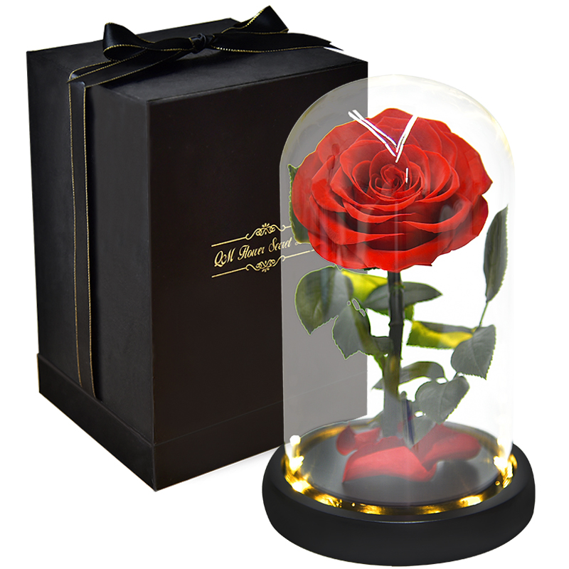 Wholesale Forever Long Lasting Immortal Preserved Rose in Glass Dome (With LED Light)