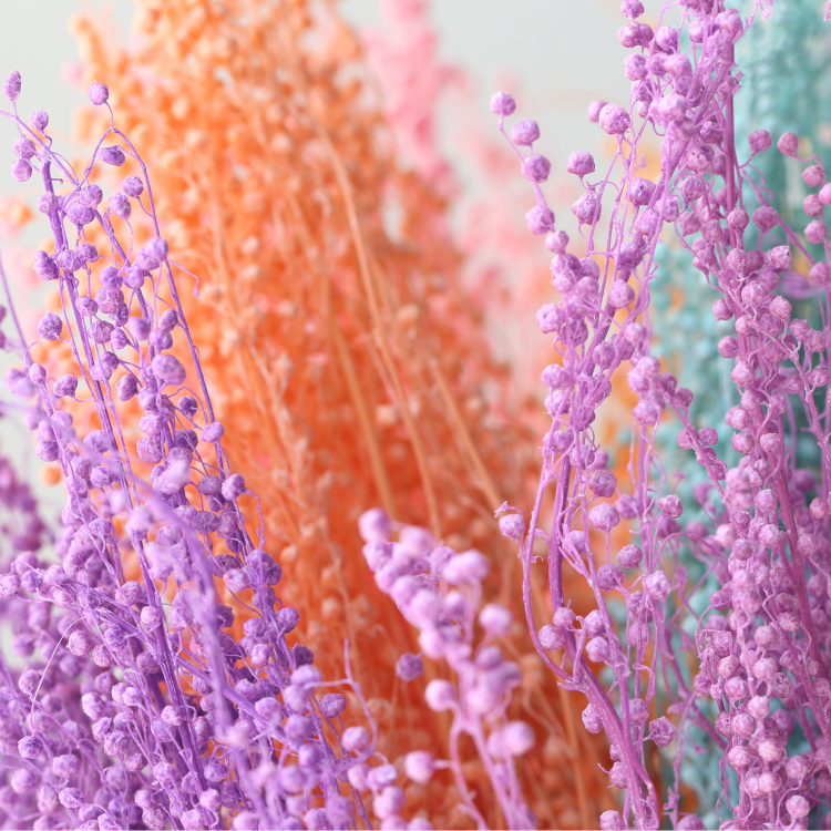 Factory Direct Natural Dried Flower Bouquets Real Preserved Mini Beans Long Lasting Eternal Prosperity Sesame Beans